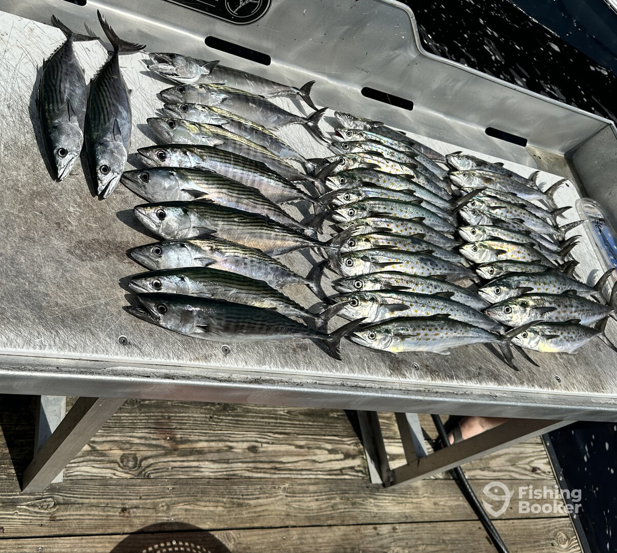 Little River Report Photo 0