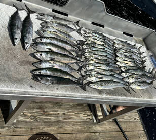 Awesome day on the water. 