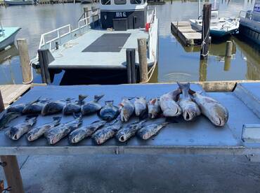Lafitte Report Photo 1