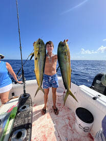 Mahi -mahi douphin its time 