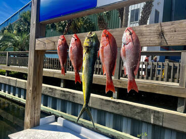 Destin Report Photo 1