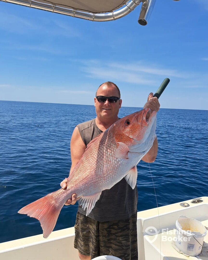 Panama City Report Photo 0