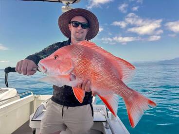 Port Douglas Report Photo 1