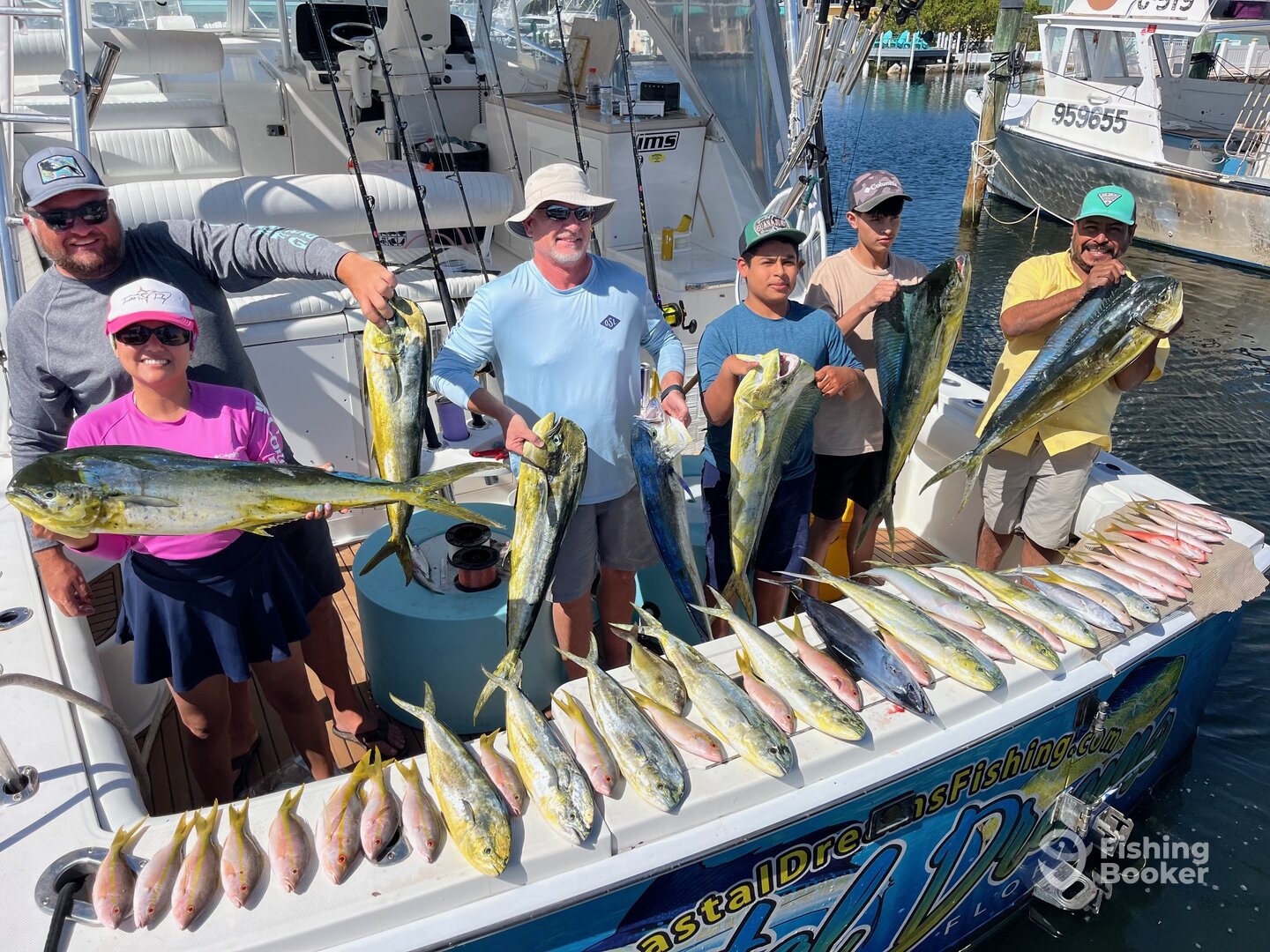 Bigger Dolphin are Here. Yellow Tail are Tasty