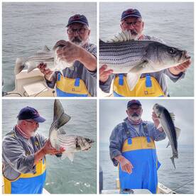 Stripebass showed big-time in Montauk 