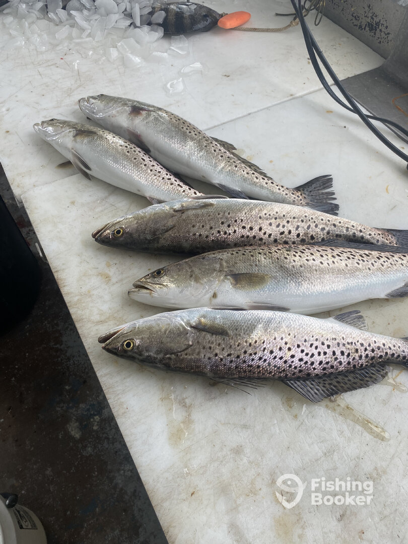 Wanchese Report Photo 0