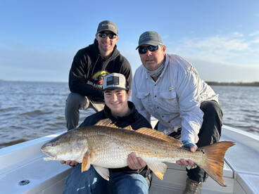 Bull Redfish
