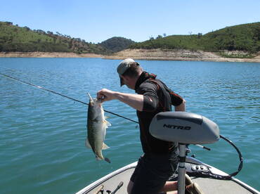 Santa Clara A Velha Report Photo 1