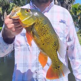 Bonita Springs Report Photo 1