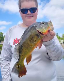 Peacock fishing is on fire!!!