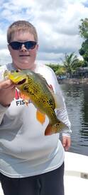 Bonita Springs Report Photo 2