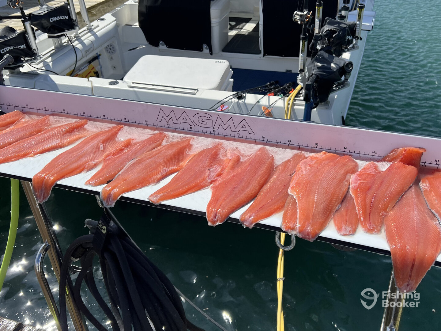 Port Washington Report Photo 0
