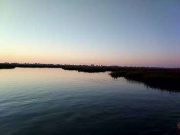 Murrells Inlet Report Photo 2