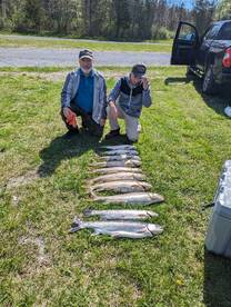 Ithaca Report Photo 2