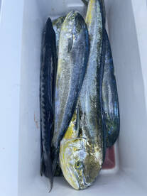 Nassau Report Photo 2