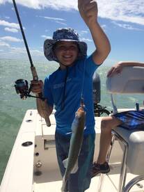 Marco Island Report Photo 1