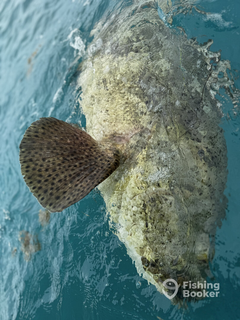 Islamorada Report Photo 0