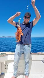 Balearic Islands Report Photo 4