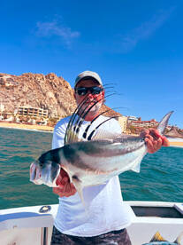 Cabo San Lucas Report Photo 2