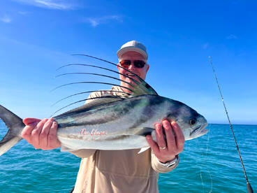 Fishing Report: Roosterfish at Solmar Be