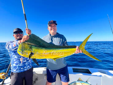 Pelagic Pursuit near The Arch and Lighth