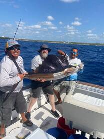 San Miguel De Cozumel Report Photo 1