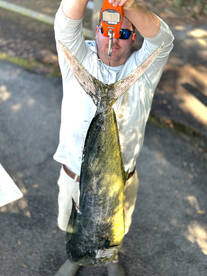 Mahi bite in Charleston!!!