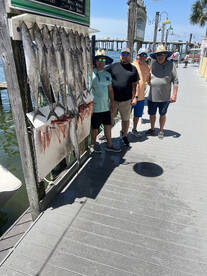 Kings and Sharks are fired up