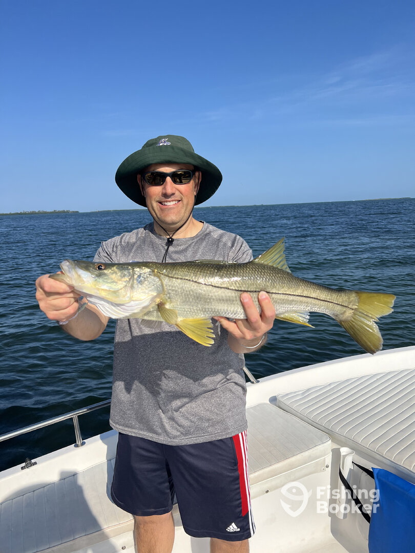 Tarpon Springs Report Photo 0