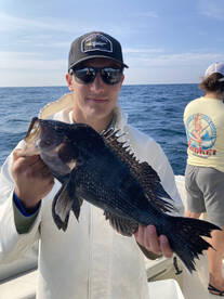 May/June Black Seabass Fishing 