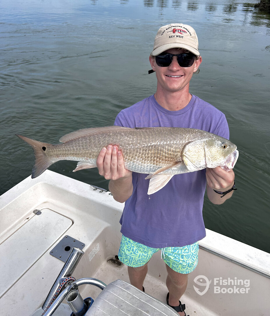 St. Augustine Report Photo 0