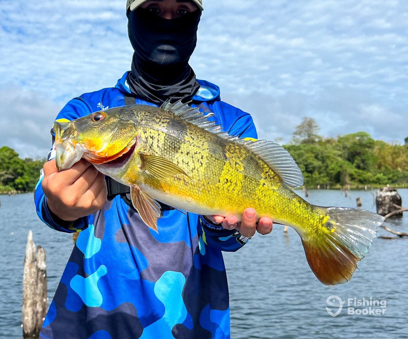 Gamboa Report Photo 0