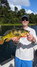 Gamboa Report Photo 1