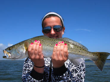 New Smyrna Beach Report Photo 2