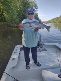 Great striper fishing continues!!!