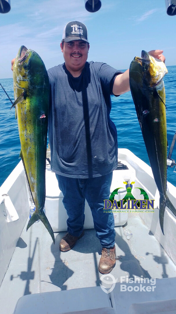 San Jose del Cabo Report Photo 0