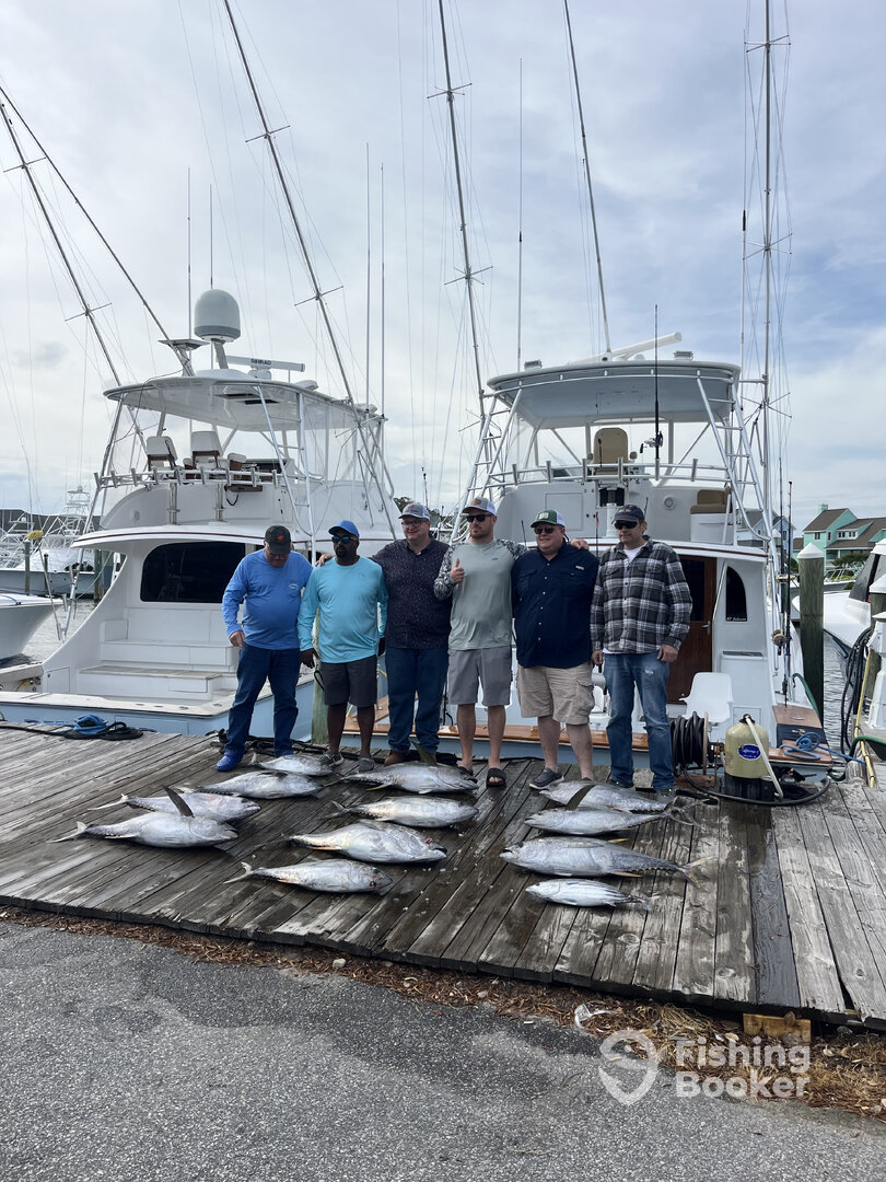 Manteo Report Photo 0