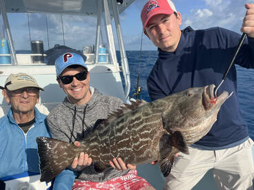 Black grouper! 