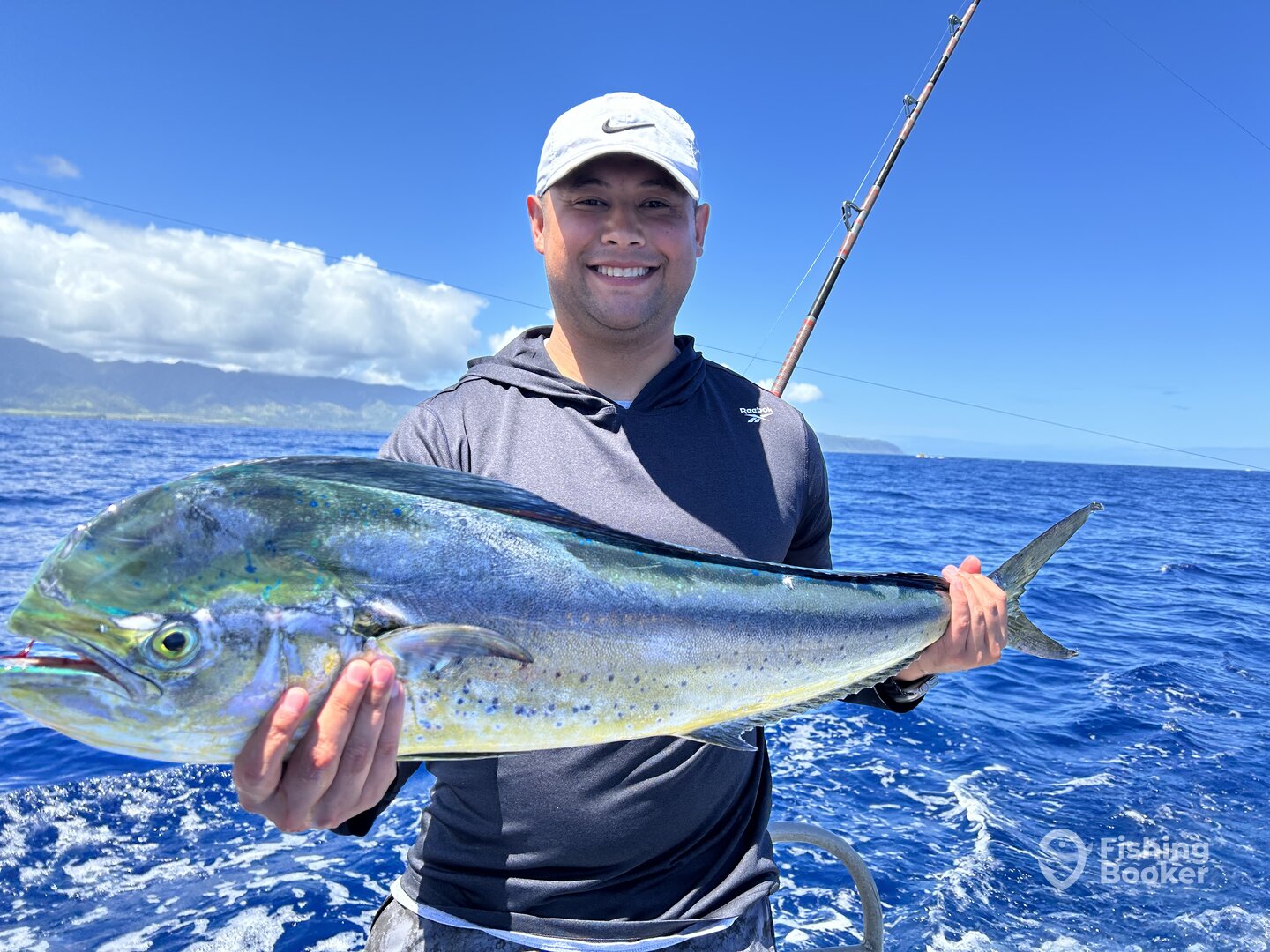 Haleiwa Report Photo 0
