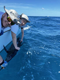 Pompano Beach Report Photo 2