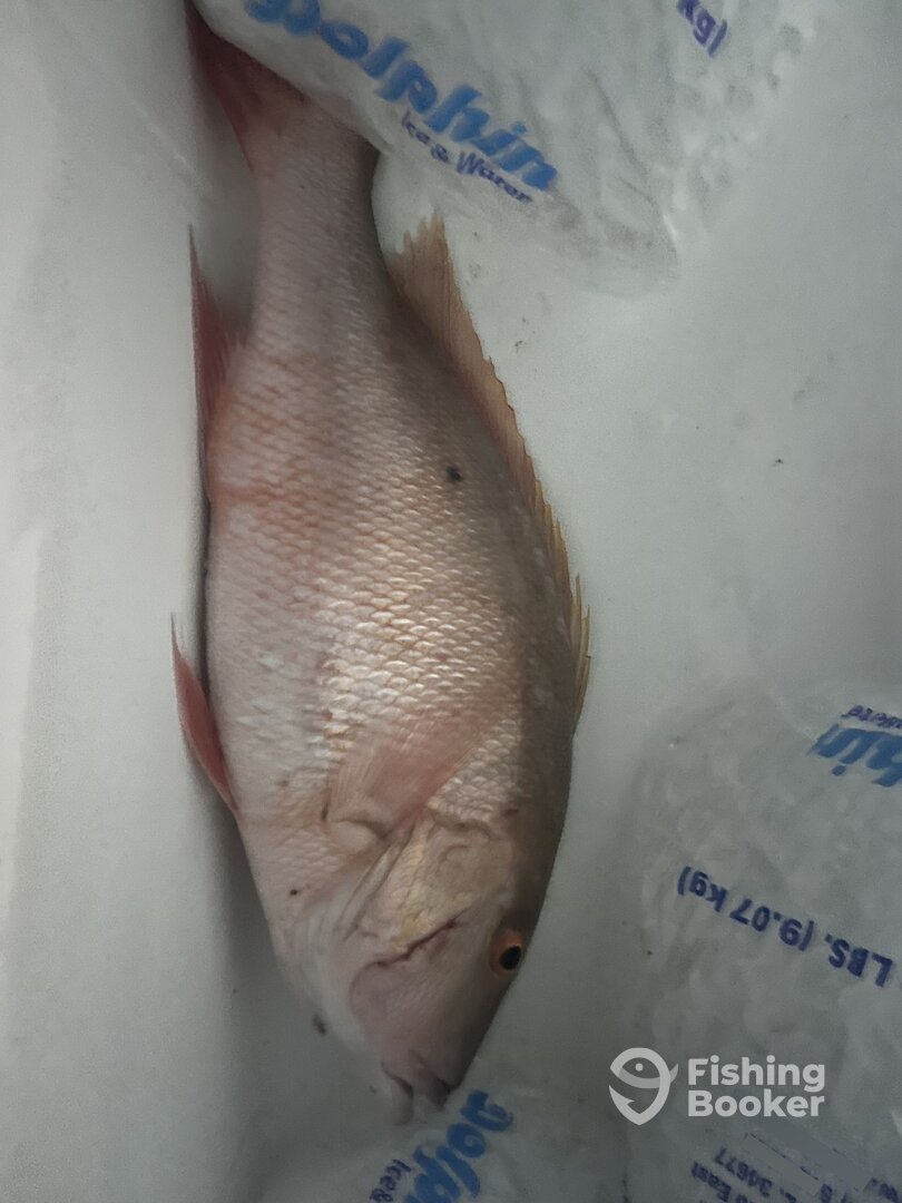 Port Charlotte Report Photo 0