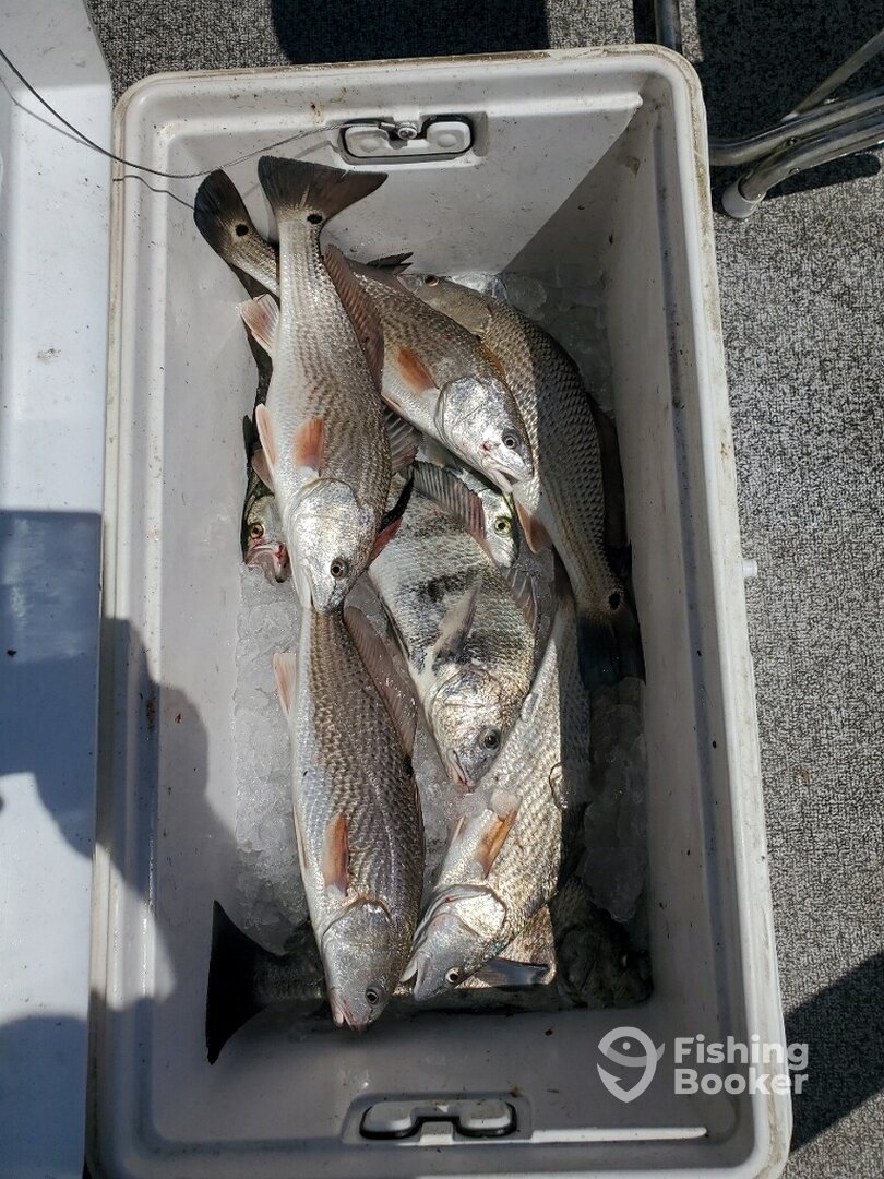 Murrells Inlet Report Photo 0