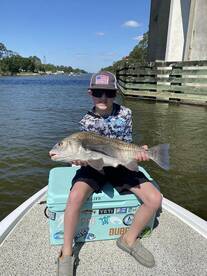 Orange Beach Report Photo 2