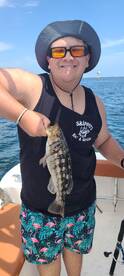 Halibut, white sea bass and calico bass are biting