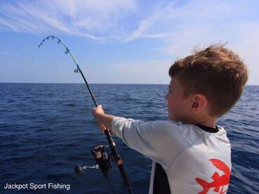 Quepos Report Photo 1