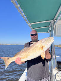 Jacksonville Report Photo 2