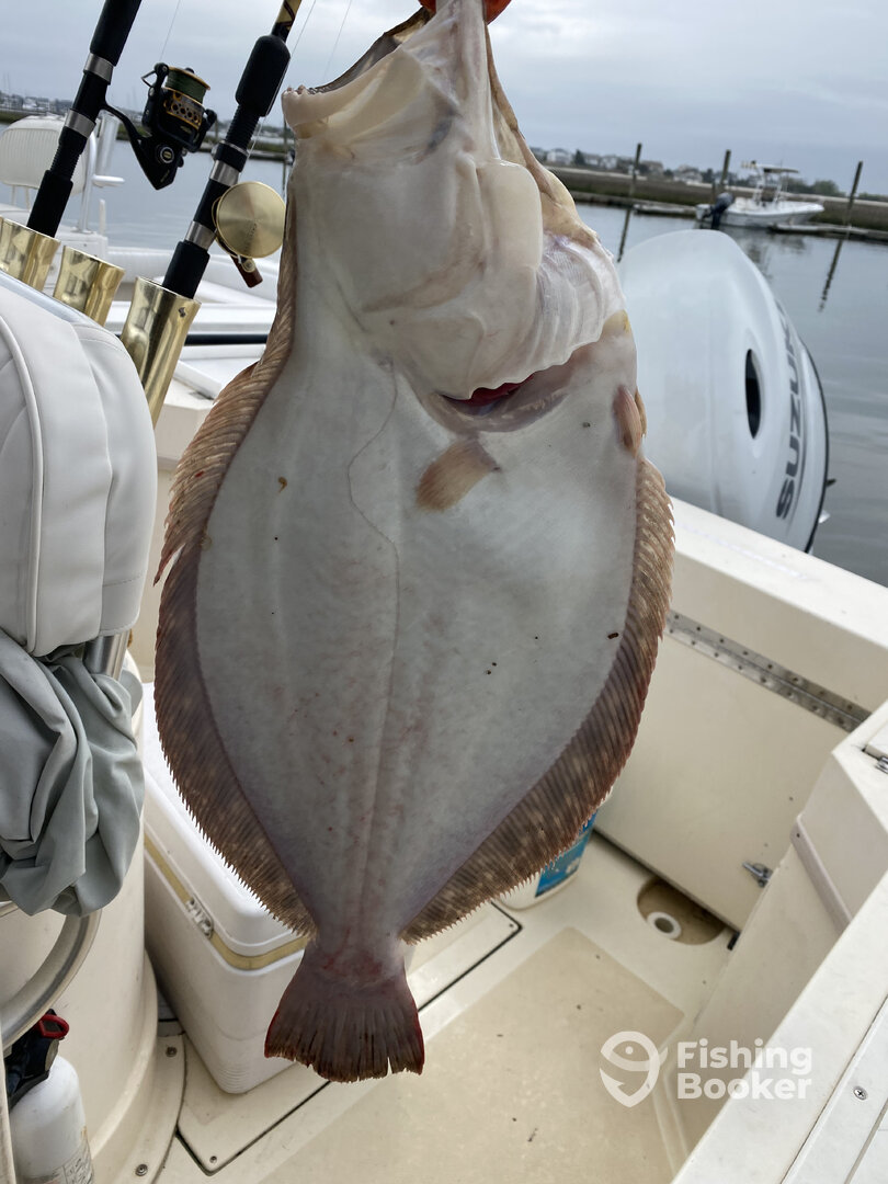 Barnegat Light Report Photo 0