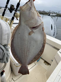 Nice keepers to start the 2024 season