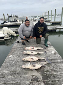 Cape May Report Photo 1