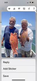 Hogs Groupers and Grunts !!